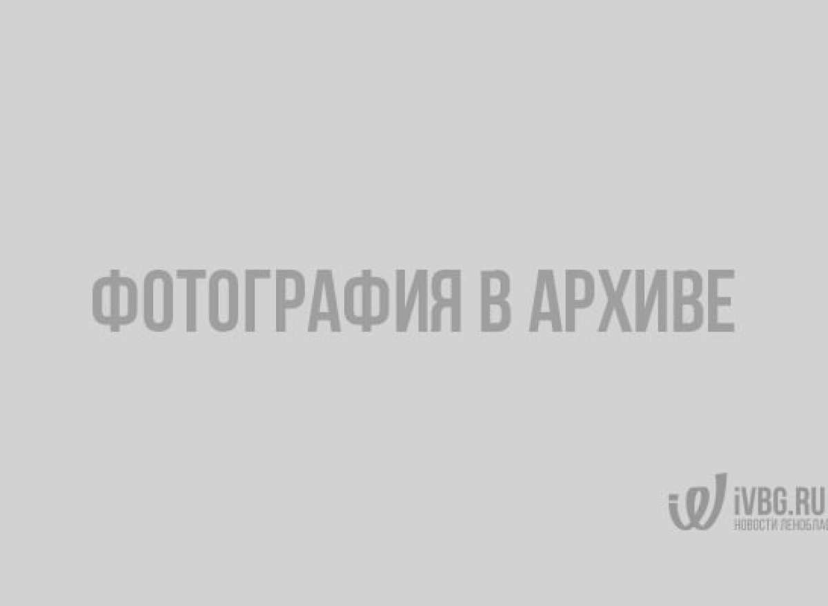 1472464403vds_2967