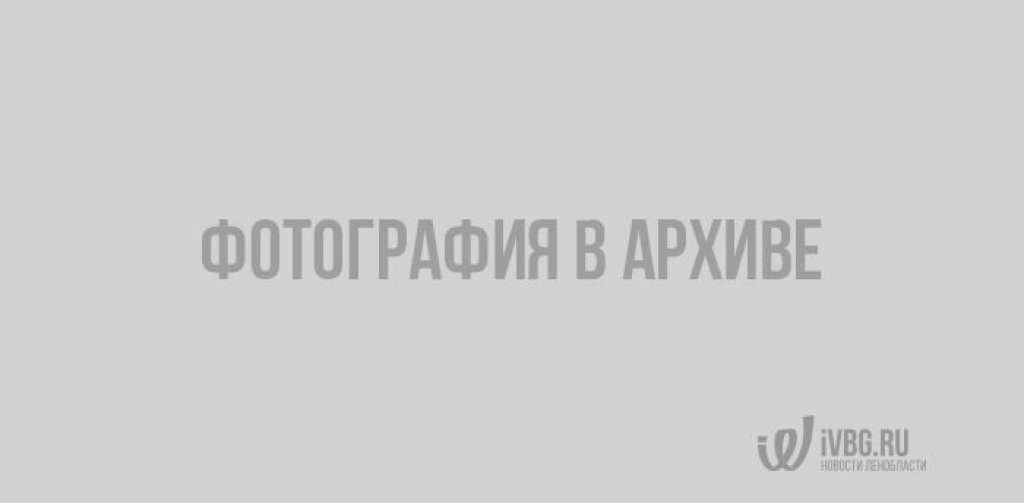 y_86a5d2a51