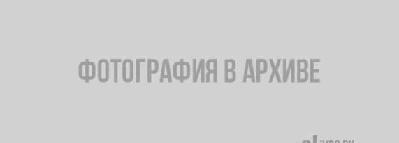zdorovaya-konkurenciya