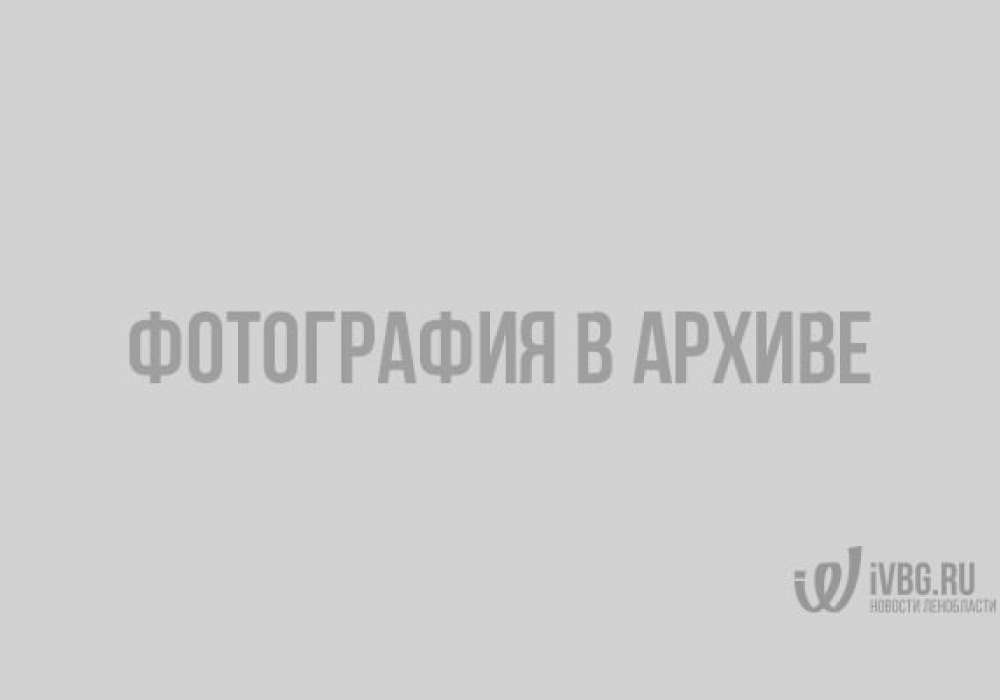 На Выборгский олимп поднялись лучшие спортсмены города и района