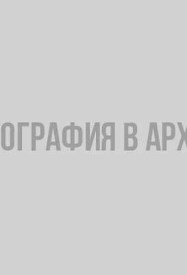 финн
