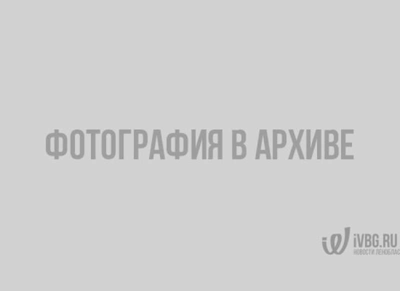 Фото: пресс-служба администрации МО "Выборгский район"