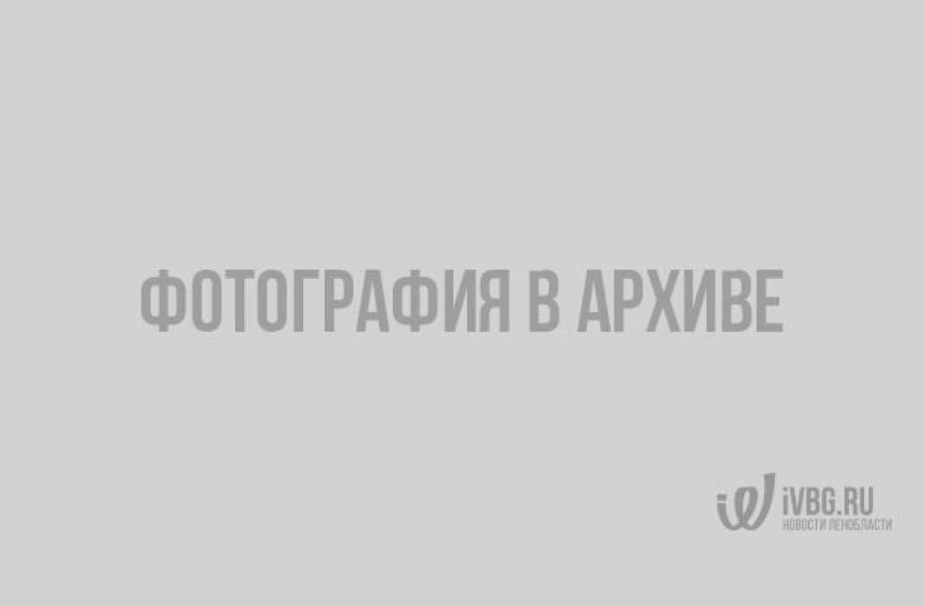 SAM_1403