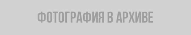 лоси