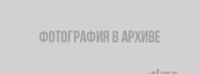 wrV4eoY7g28 копия