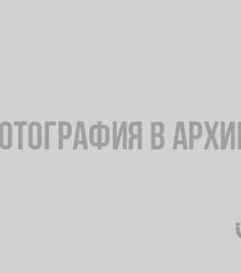 OjNAmKLLpGY