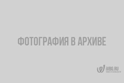 коммунальные платежи_1
