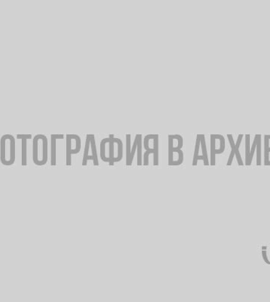 Выборгские пловцы вновь стали призерами области