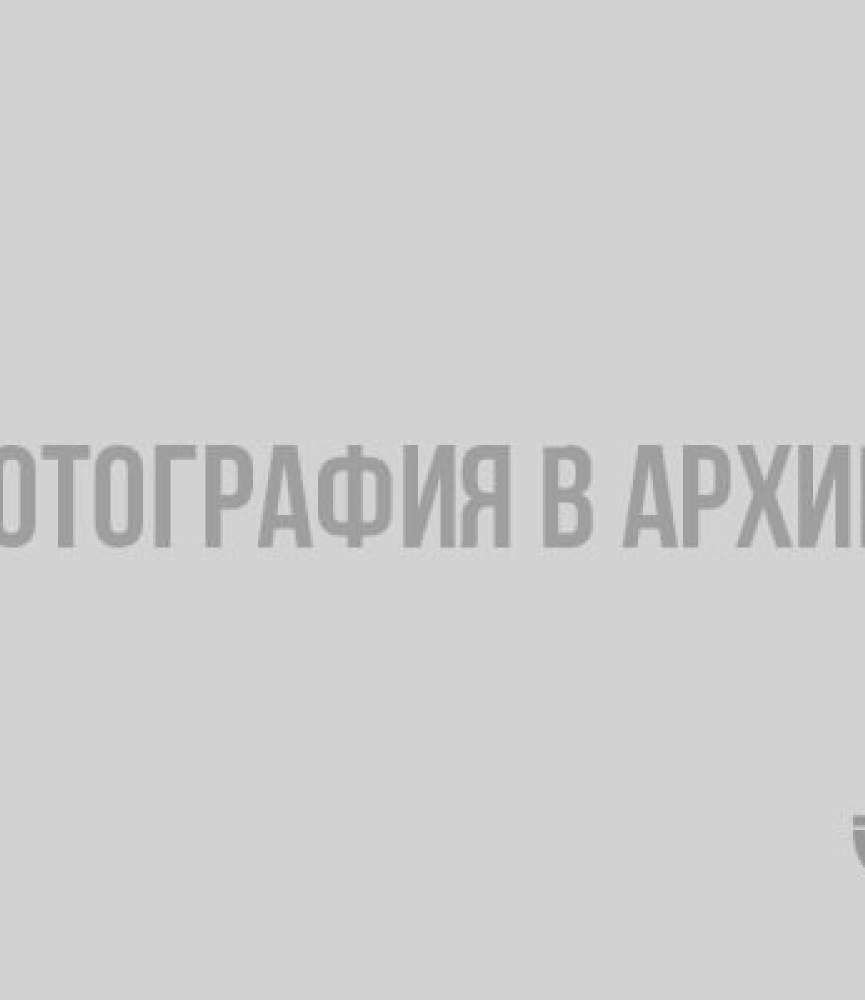 Выборгские пловцы вновь стали призерами области
