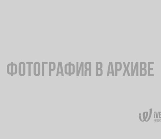 скачанные файлы
