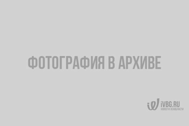 Длиннная тень войны: Выборг сегодня и 76 лет назад