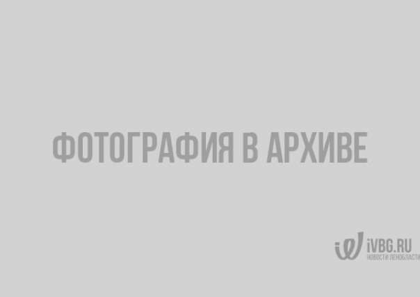 Фото Виктор Сиренко