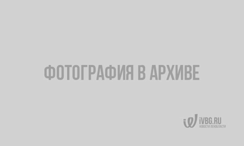 Выборгский спортсмен выиграл Чемпионат России по универсальному бою