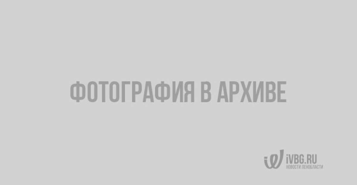 XrpekjbeNmk