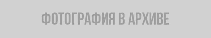 все равно поеду