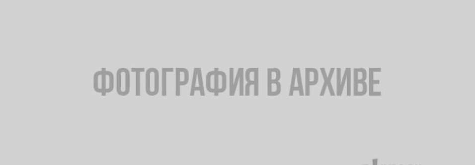 выборг
