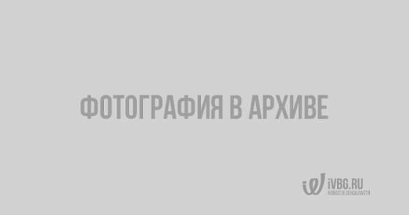 карта