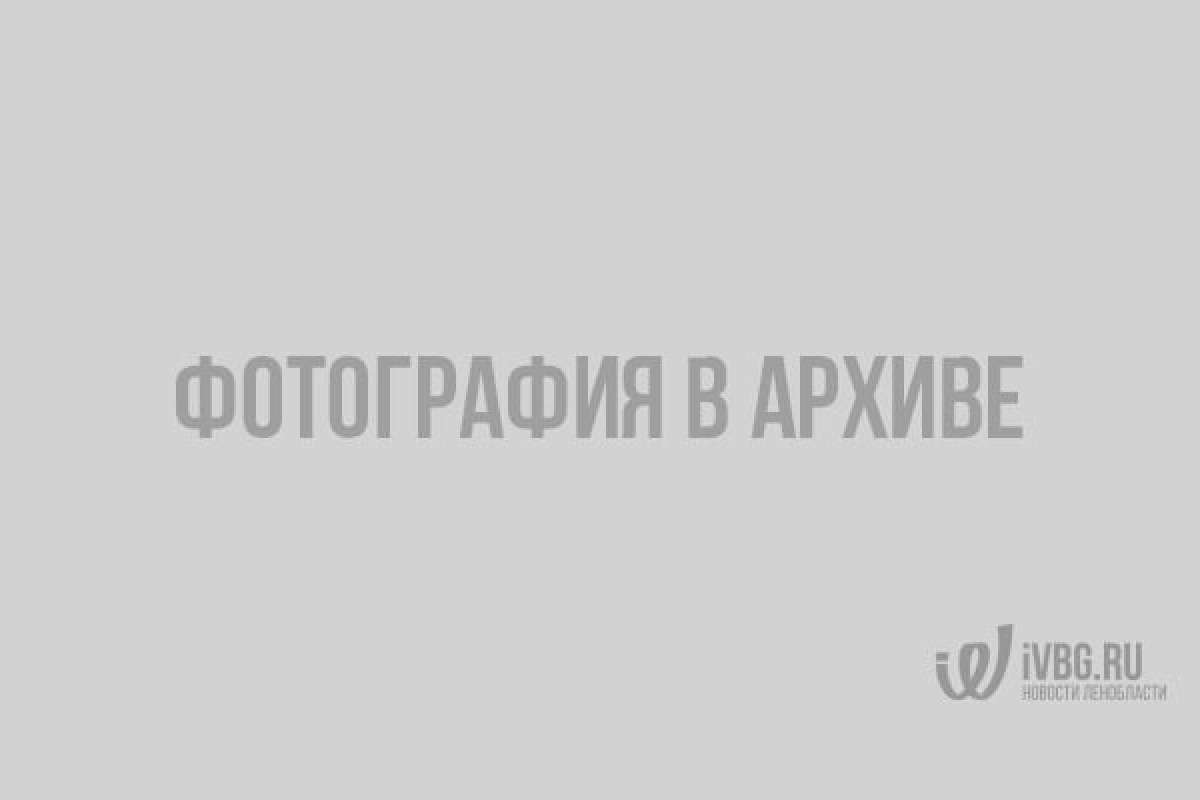 IMG_4661