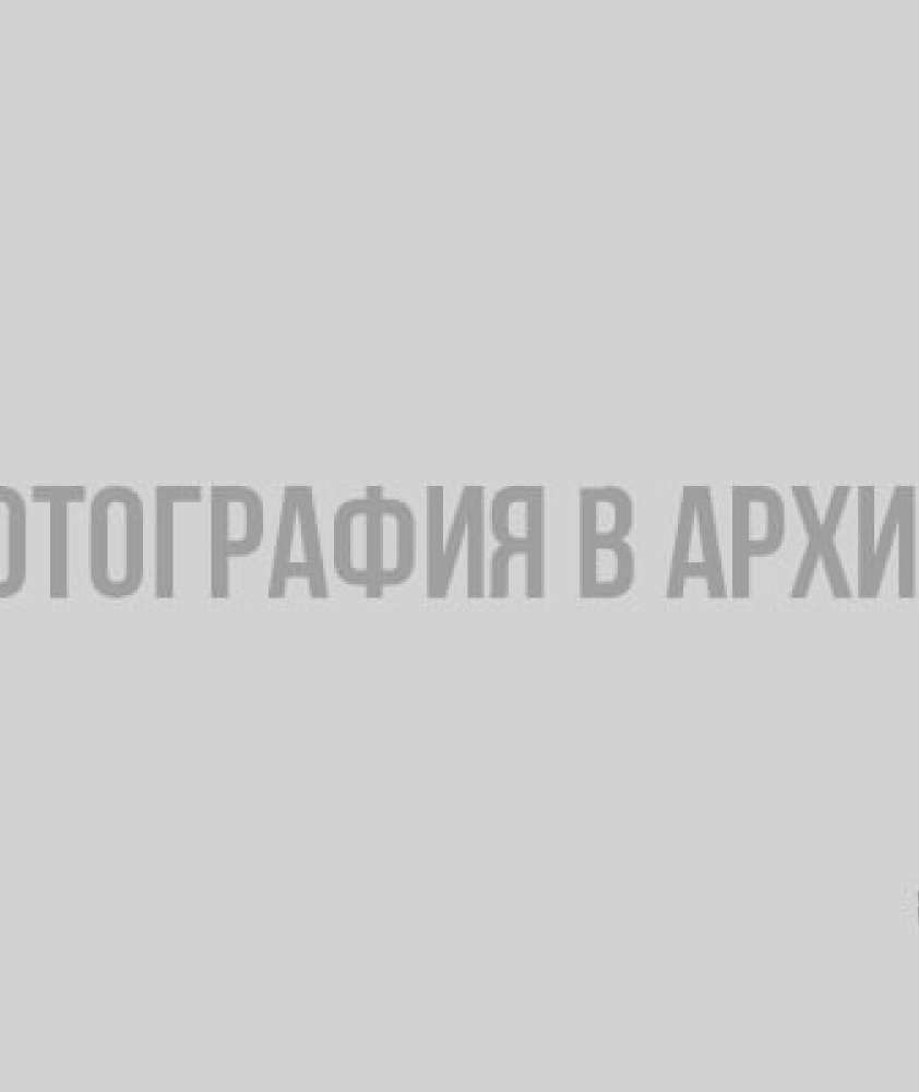 Лес для богатых. Выборжцы против платы за вход в природные парки
