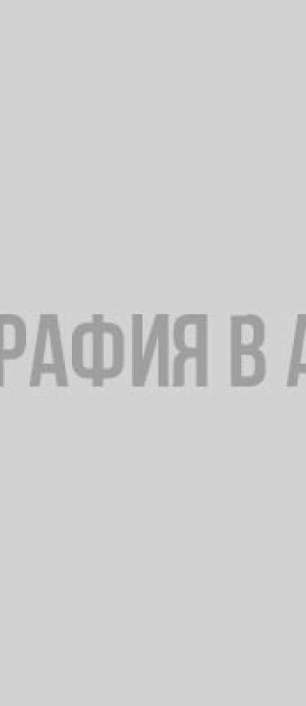 5 вопросов выборгской скорой в инфографике ivbg.ru