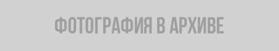 Мнение жителей Ленобласти о запрете интернета в школах