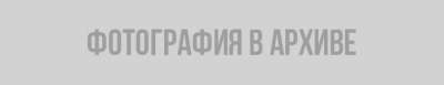 Мнение жителей Ленобласти о запрете интернета в школах