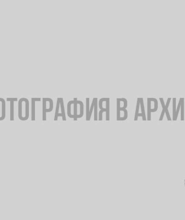 А казалось, весна так близко. 10 солнечных фотографий Ленобласти