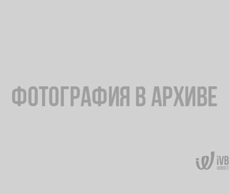 Дорожники объяснили, почему машины утонули в грязи на границе Ленобласти и Карелии