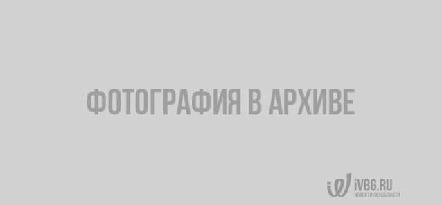 "Для кого сказочка?": жители Выборга об интервью начальника таможни