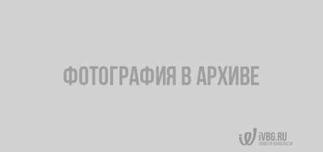 Генконсульство Финляндии: сроки рассмотрения визовых заявлений сокращаются