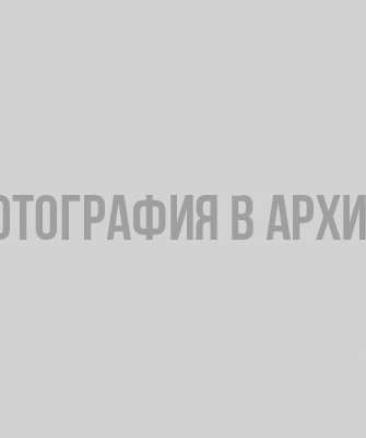 Выборгские дзюдоисты покоряют Иерусалим