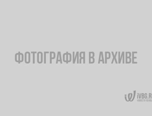 В работе платежной системы Яндекс.Деньги наблюдаются сбои