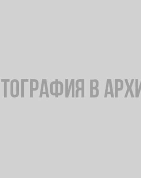 Планы на выходные в Ленобласти: 12-13 августа