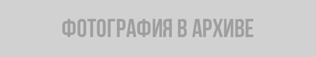 "Дача Путина" под Выборгом: фантазёра Навального высмеяли в соцсетях из-за нового расследования