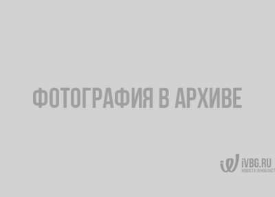 Петербург стал самым культурным городом России. За что и почему?