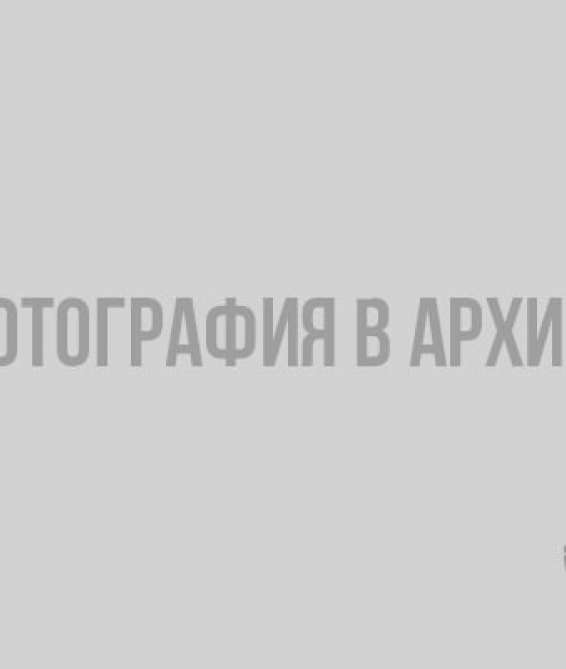 В соцсетях репостят фейк о "гибнущих" зубробизонах в питомнике Токсово