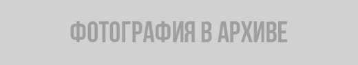 В соцсетях репостят фейк о "гибнущих" зубробизонах в питомнике Токсово