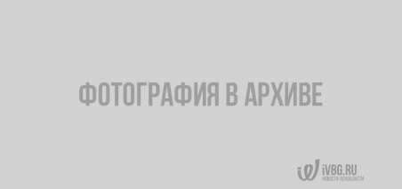 Военная машина повредила железнодорожный мост в Луге