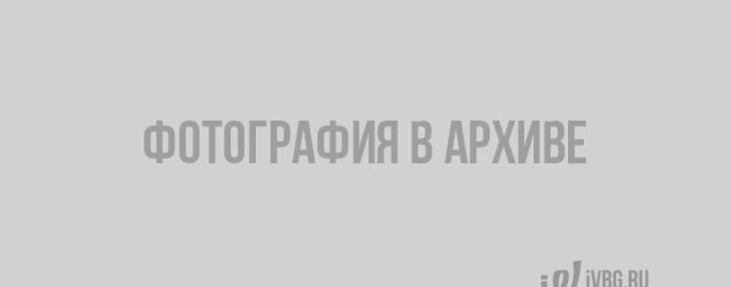 На Выборгской таможне задержали 20 кг жевательного табака