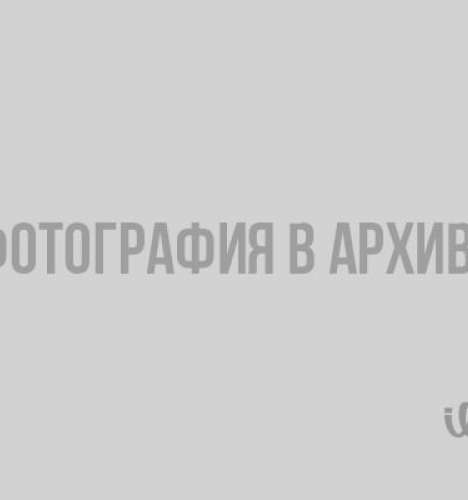 Выборгская библиотека откроет «Форточку в Европу»