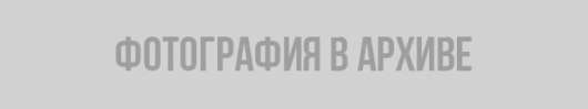 Медведев запретил выбрасывать окурки из машин. Реакция соцсетей и мнение экспертов