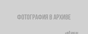 Человек упал на рельсы в петербургском метрополитене — интервал движения поездов увеличился