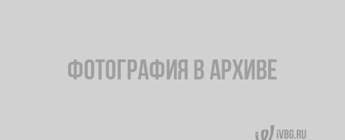 Редакция Ivbg.ru разыграла 18 IPhone 8 для участников конкурса «iВыборы»