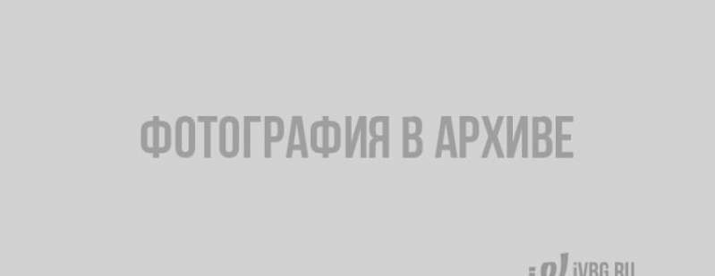 Стало известно, сколько работодатели Ленобласти готовы платить студентам и сотрудникам без опыта
