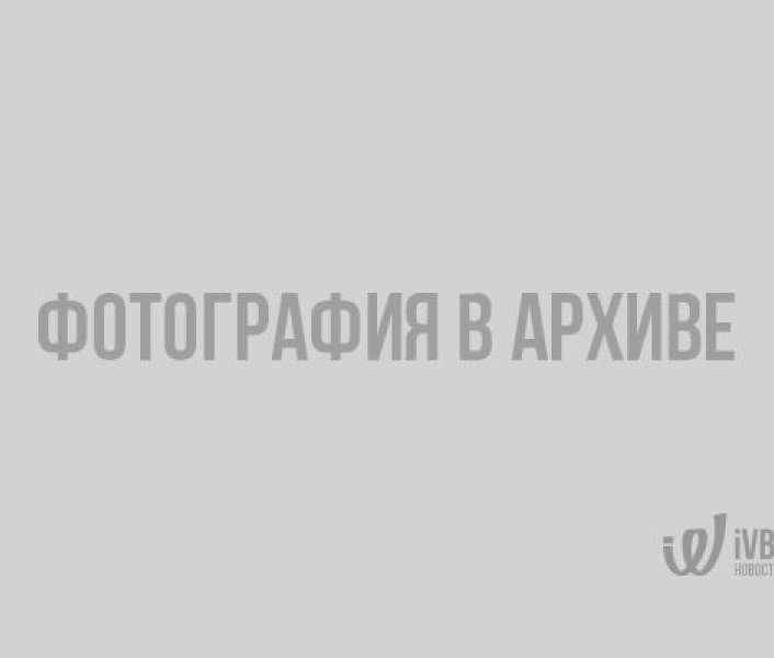 Велосипедисты из Выборга начали май с громких успехов