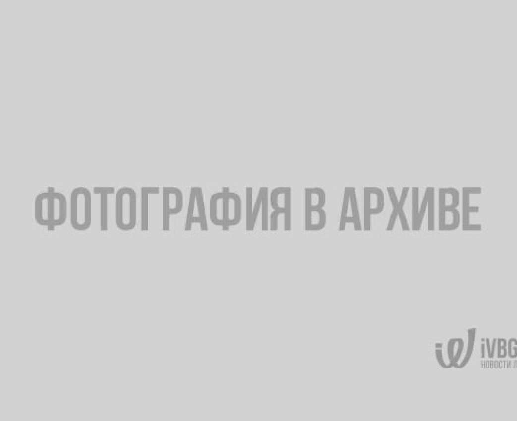 МЧС предупреждает ленинградцев о пожароопасной обстановке
