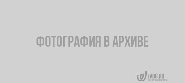 Триллионы рублей на исполнение майских указов найдут в кошельках россиян - Ведомости