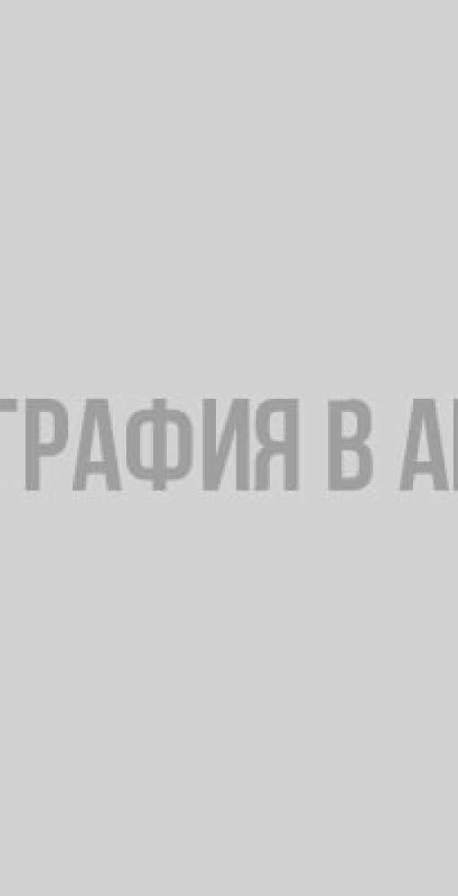 Эксперты выяснили, на что и на кого россияне чаще всего жалуются президенту Путину