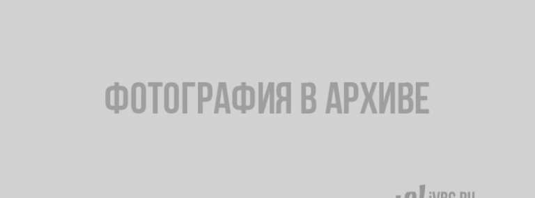 В Выборге начался семинар о туристическом маршруте «Серебряное ожерелье»