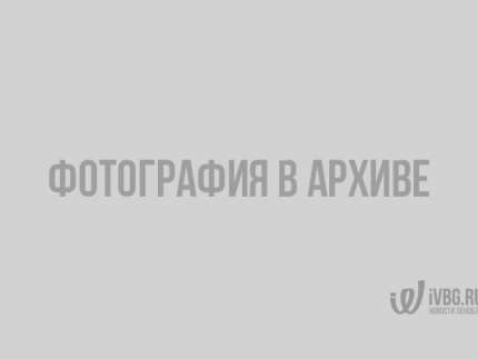 Всеволожский район вчера активно горел